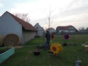 Výsadba u MŠ 2015 - sponzorováno firmou PAJR s.r.o.Vlkava